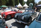 British Classic Car Meeting St. Moritz