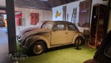 VW-Käfer Sonderausstellung