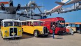 Europatreffen historischer Omnibusse Sinsheim 2023