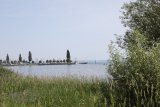 Arbon Classics 2026