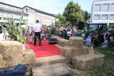 2. Oldtimer-Traktoren- und Einachser-Treffen in Adligenswil