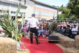 2. Oldtimer-Traktoren- und Einachser-Treffen in Adligenswil