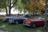 Swiss Classic British Car Meeting Morges