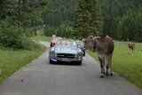 Arlberg Classic Car Rallye