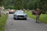 Arlberg Classic Car Rallye