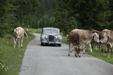Arlberg Classic Car Rallye
