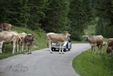 Arlberg Classic Car Rallye