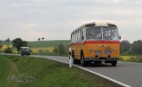 Europäisches Oldtimer-Bus Treffen Sinsheim