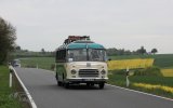 Europäisches Oldtimer-Bus Treffen Sinsheim