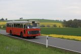 Europäisches Oldtimer-Bus Treffen Sinsheim