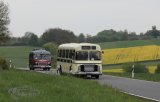 Europäisches Oldtimer-Bus Treffen Sinsheim