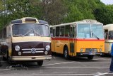 Europäisches Oldtimer-Bus Treffen Sinsheim