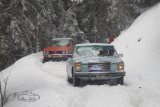 Schneegestöber Rallye