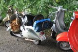 Vespa Treffen Bachtel