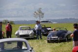 Oldtimer-Treffen Hasenstrick