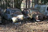 Autofriedhof Gürbetal