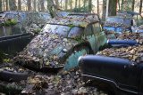 Autofriedhof Gürbetal