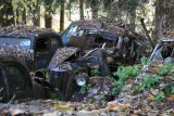 Autofriedhof Gürbetal