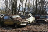 Autofriedhof Gürbetal