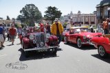 The Little Car Show Pacific Grove