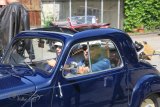 Oldtimertreffen Hasenstrick