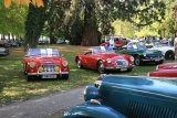 Swiss Classic British Car Meeting Morges