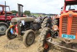 Int. Landmaschinen Oldtimer-Treffen Effingen