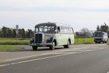 Europatreffen historischer Omnibusse Sinsheim 2023