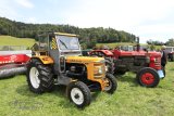 Traktorentreffen Bichelsee