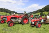 Traktorentreffen Bichelsee