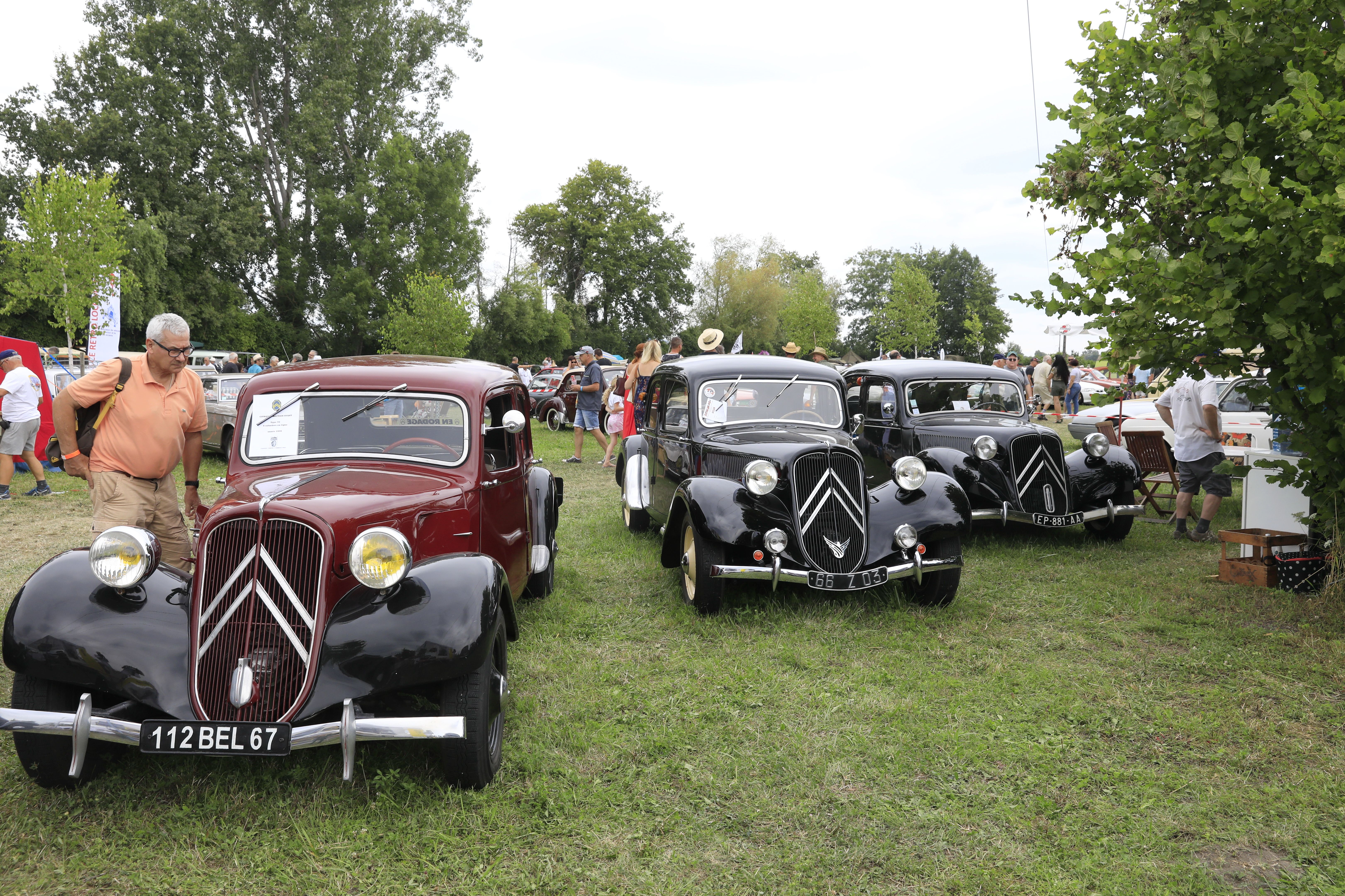 Citroen Traction Avant überall